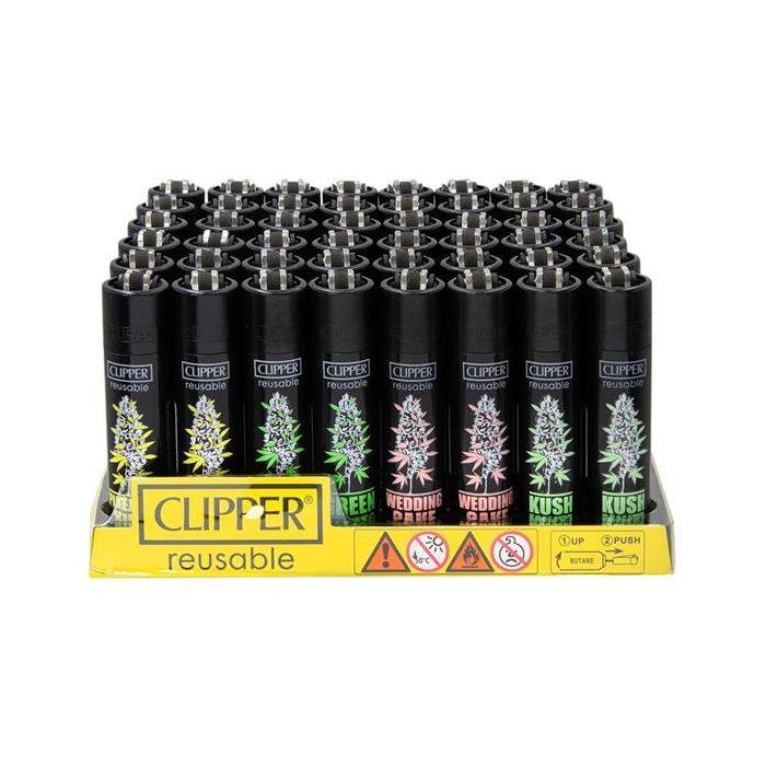 1 x Clipper Hemp Plants, assortiert